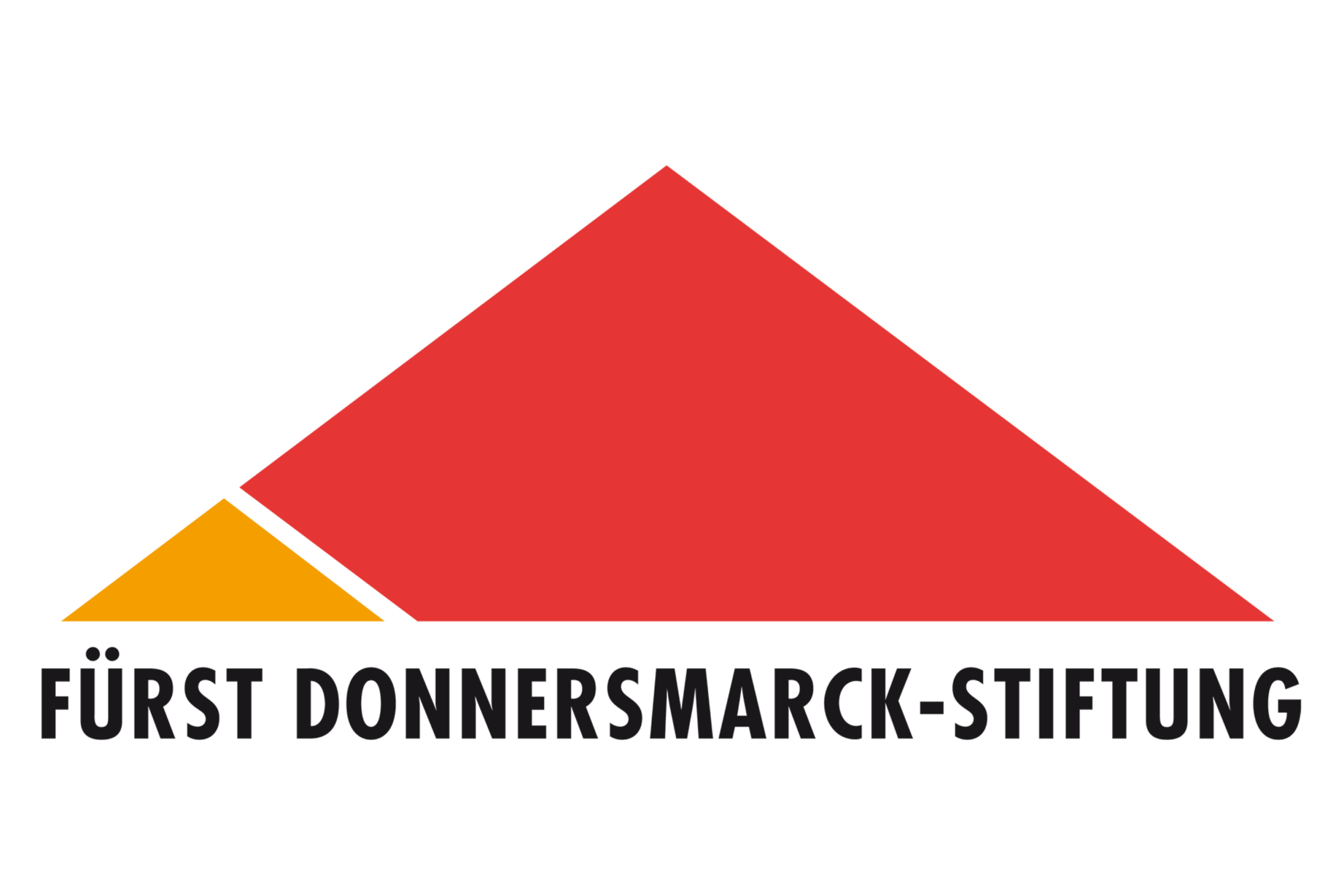 Logo Fürst Donnersmarck-Stiftung