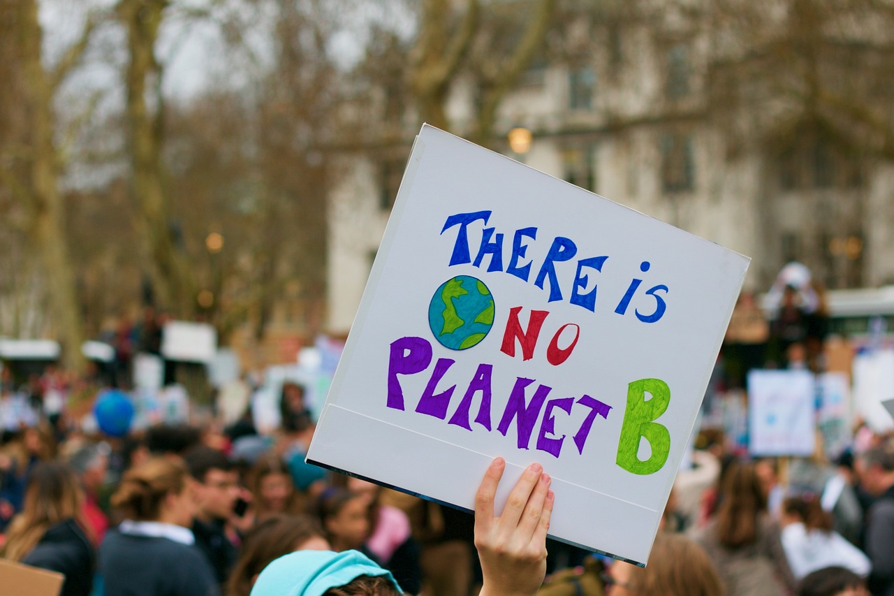 Ein buntes Plakat auf einer Klimademonstration mit dem Schriftzug "There ist no planet B"