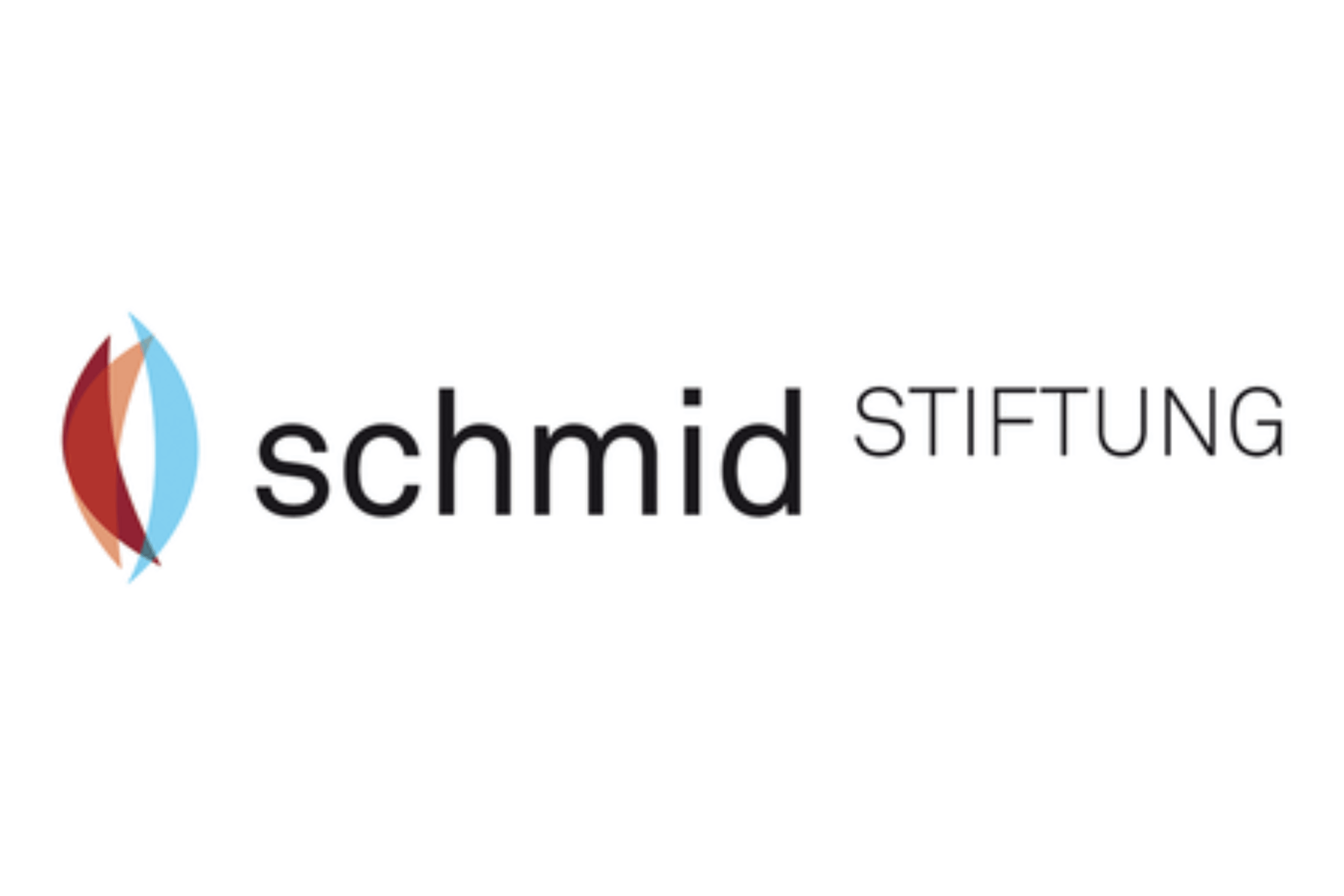 Logo Schmid Stiftung