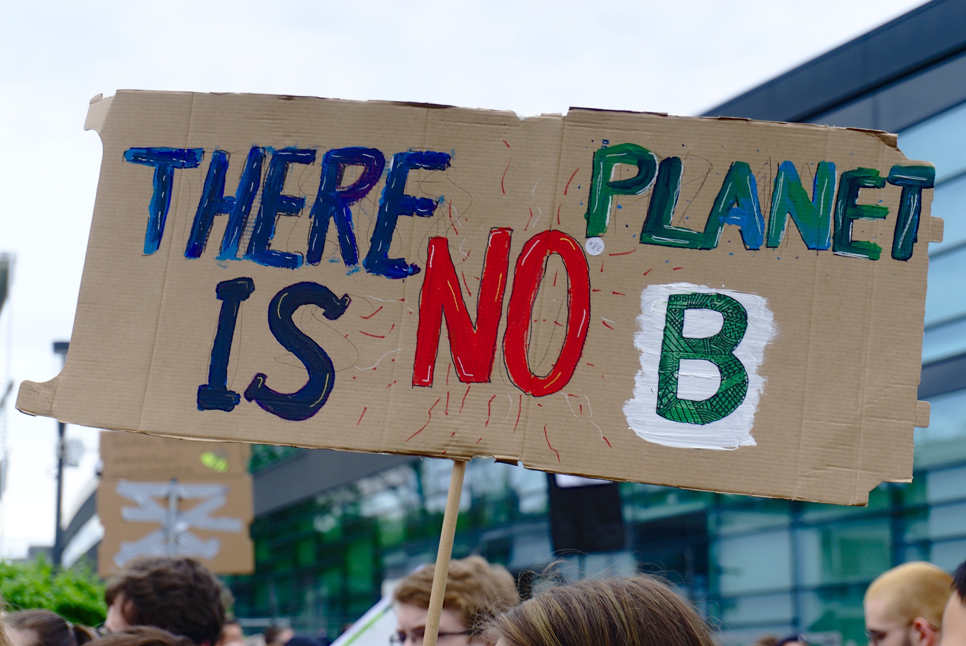 Plakat auf einer Demonstration mit dem Schriftzug "There is no planet B"