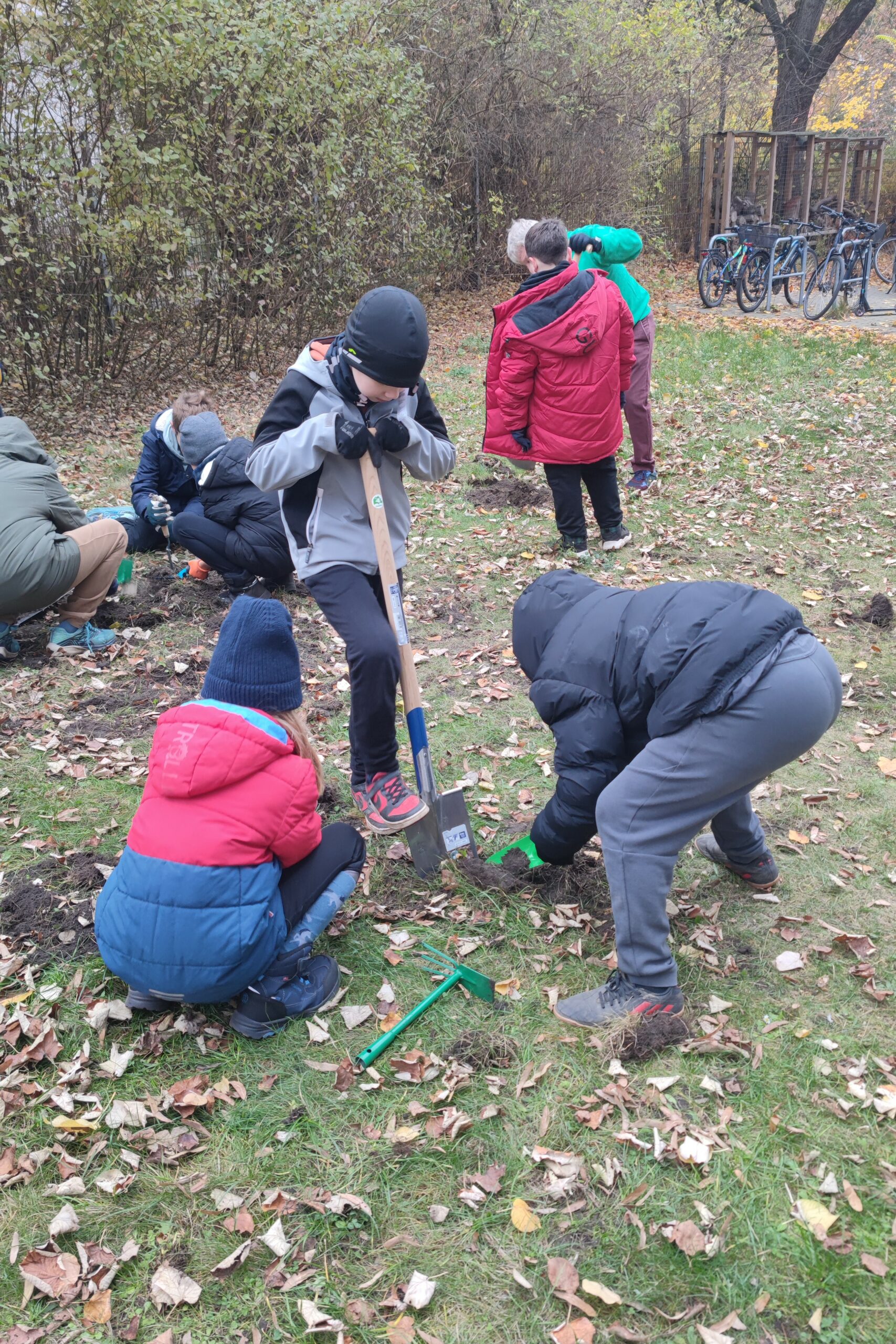 Drei Kinder gärtnern mit Schaufel und Harke auf einer Wiese. Im Hintergrund sind weitere Kinder zu sehen, die ebenfalls gärtnern.